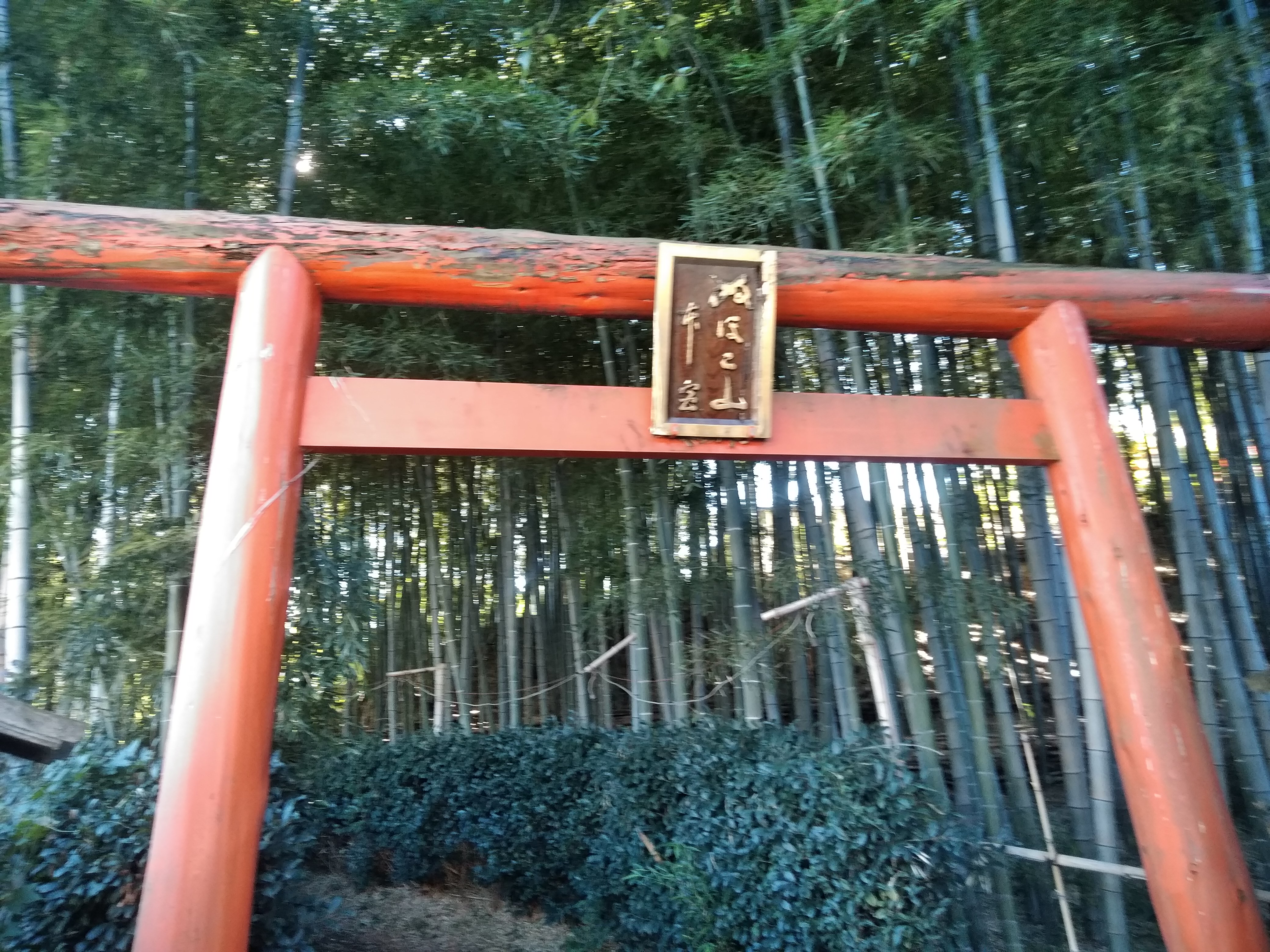 玉川学園 ぬぼこ山神社 竹林にうっそうと囲まれた唯一神聖な場所 損切りcafe