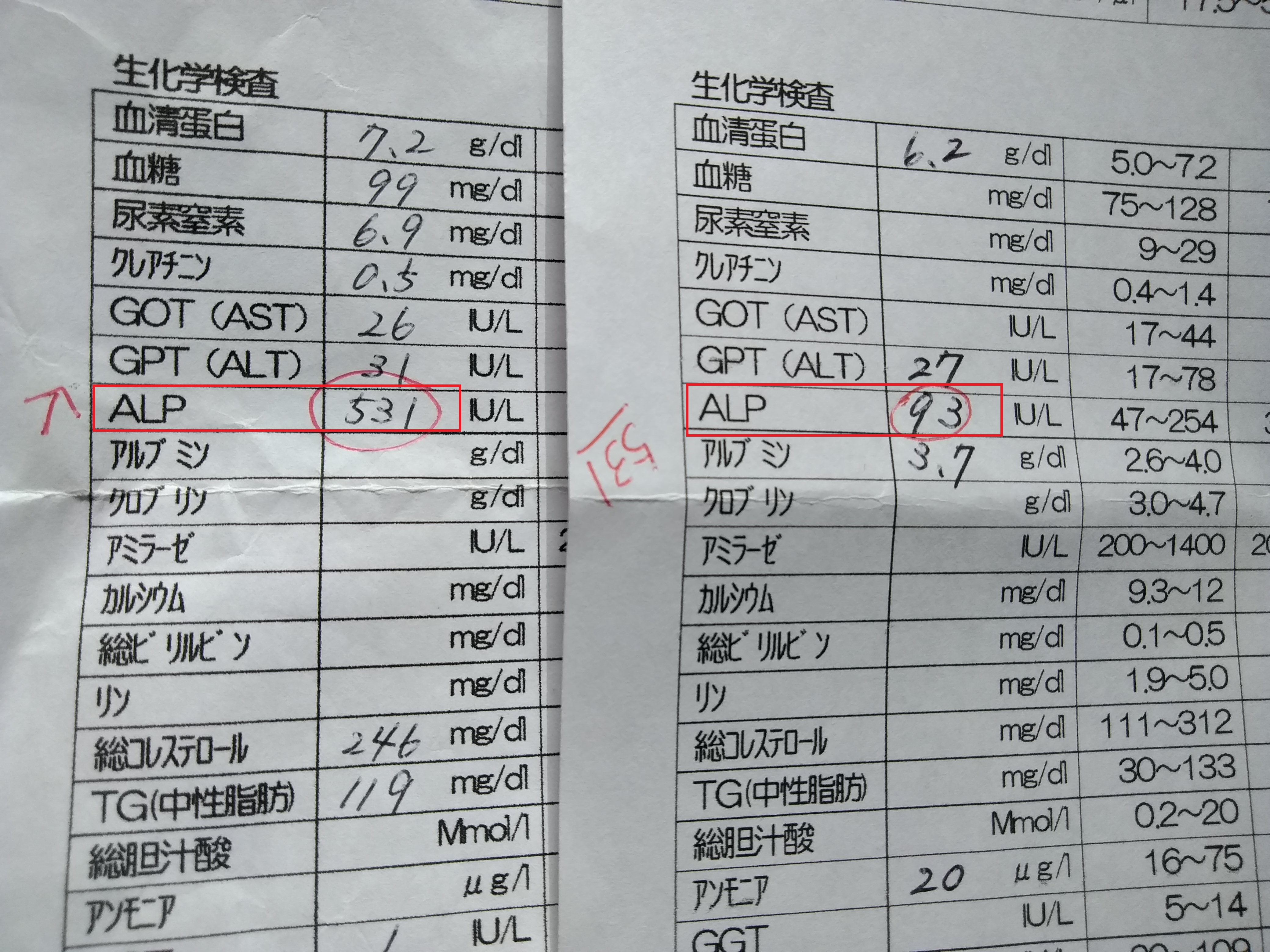 ミノルタ 値 正常 値 ヘモグロビンa1cとは 高いと糖尿病 Hba1cを基準値に下げる方法 5 40 皆で一緒にモンハンライフ 8 1 Prosmotr Arjunaarya